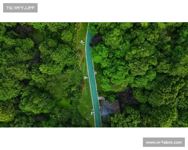 平台串联健身绿道与城市公园，塑造宜居宜游的体育生活圈。